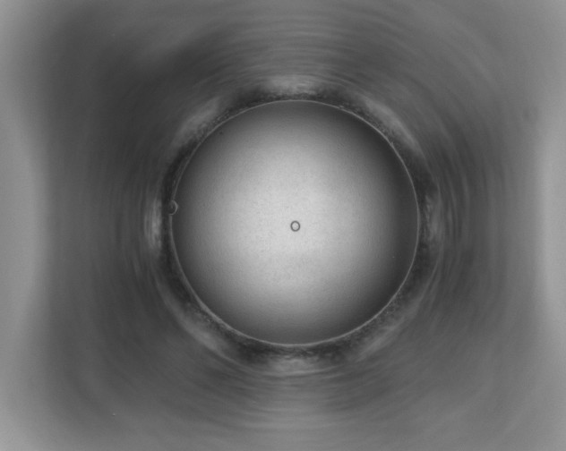 X0000110670494200906121313