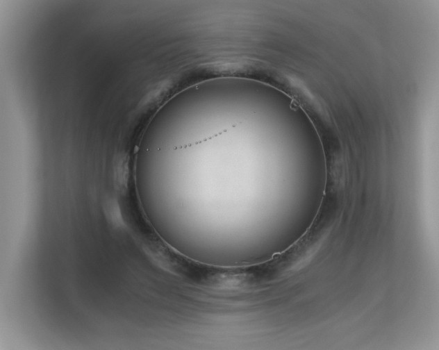 X0000110670495200906121313