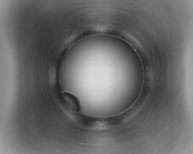 X0000110670496200906121313