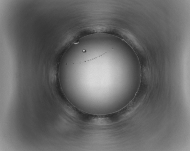 X0000110670499200906121312