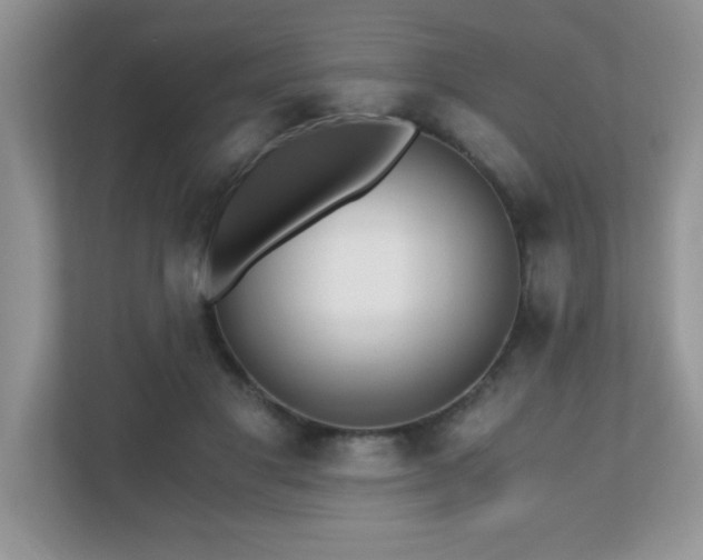 X0000110670501200906121312
