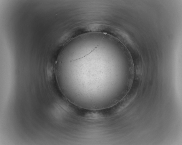 X0000110670503200906121312