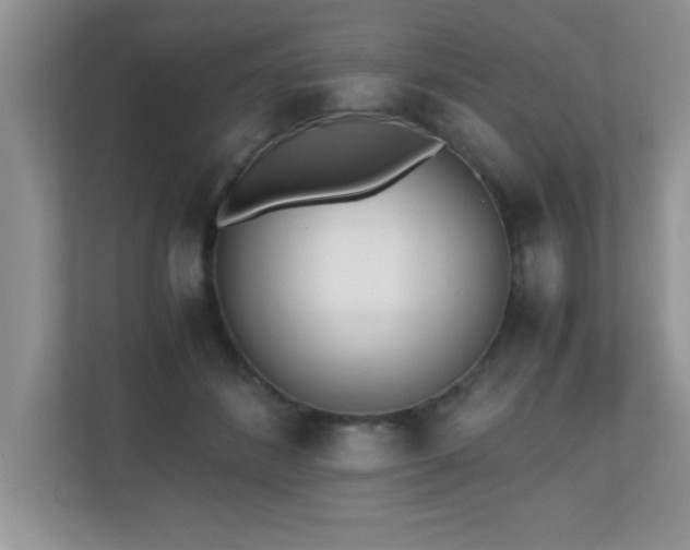X0000110670508200906121312