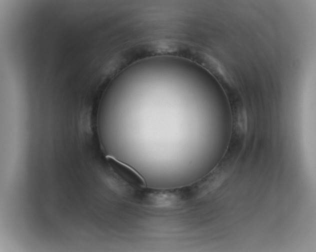 X0000110670512200906121312