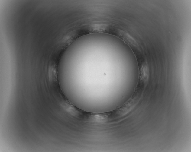 X0000110670522200906121312