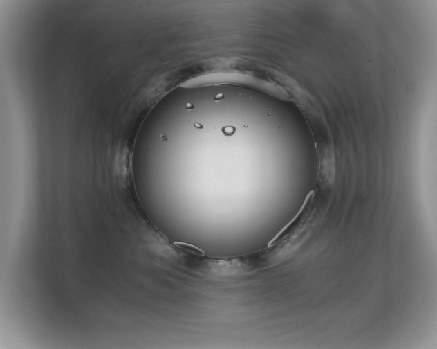 X0000110670525200906121312