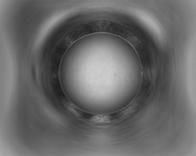 X0000110670526200906121312