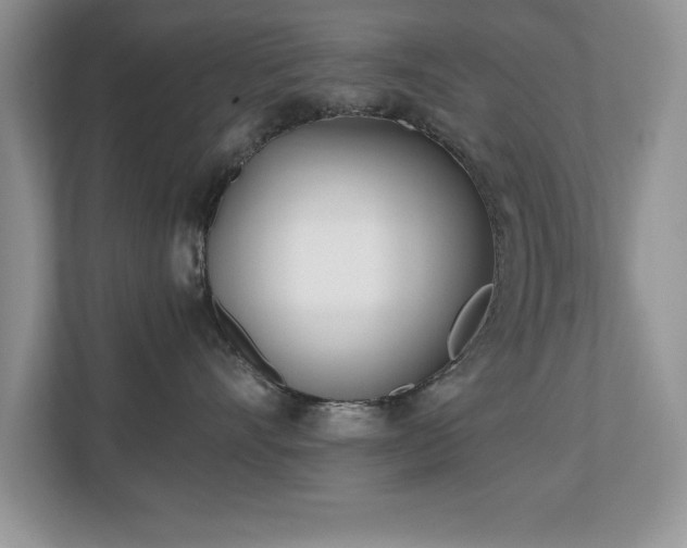 X0000110670528200906121312