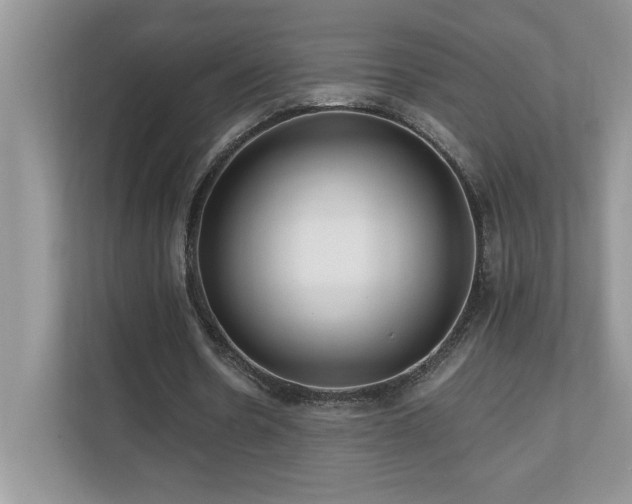 X0000110670530200906121311