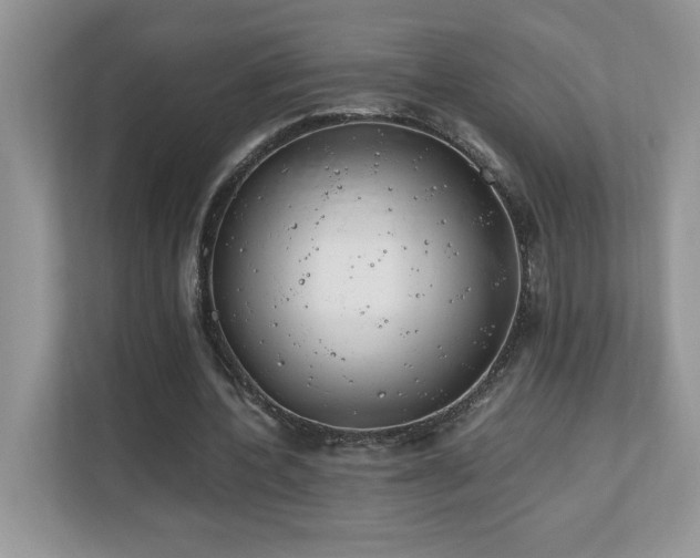 X0000110670532200906121312