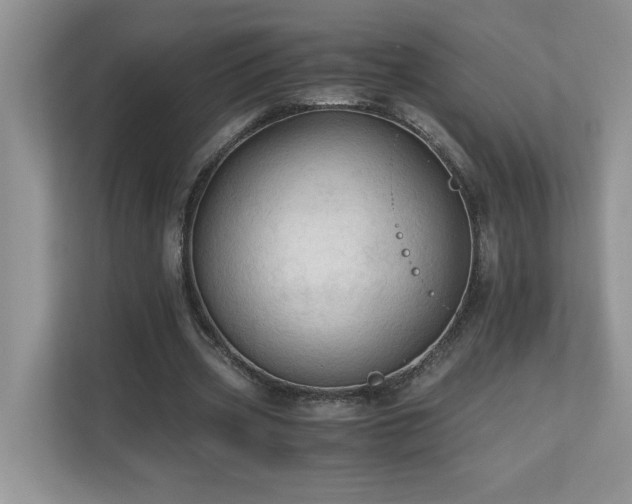 X0000110670533200906121312