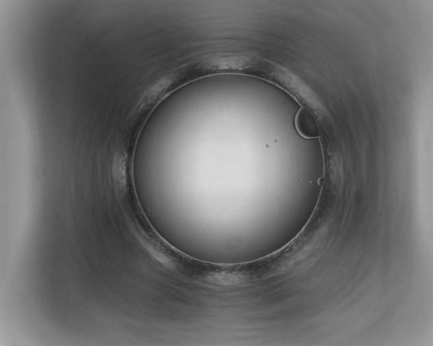 X0000110670537200906121312