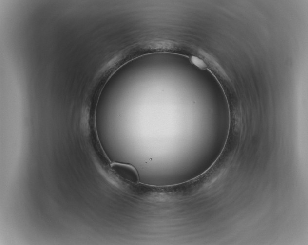 X0000110670538200906121312