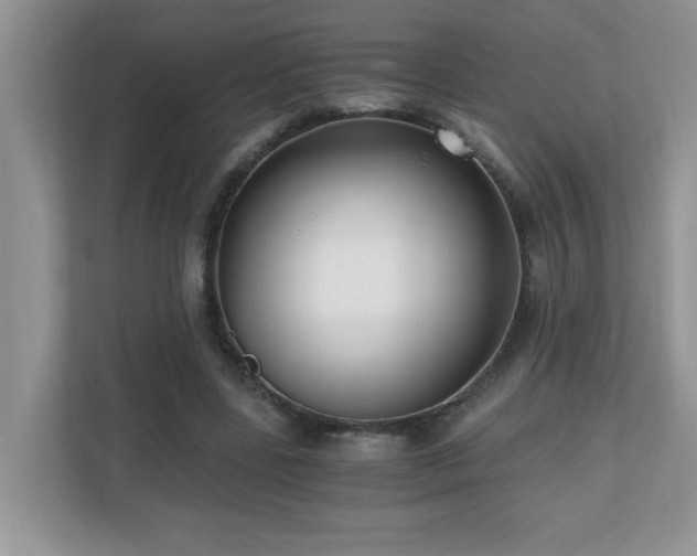 X0000110670539200906121312