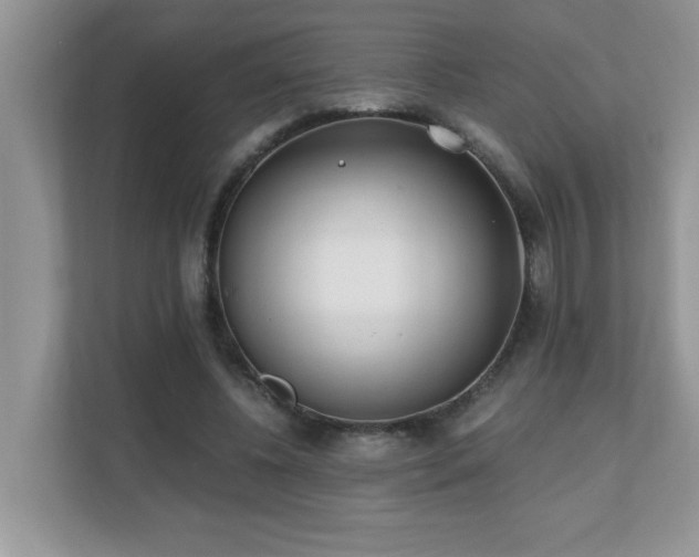 X0000110670540200906121312