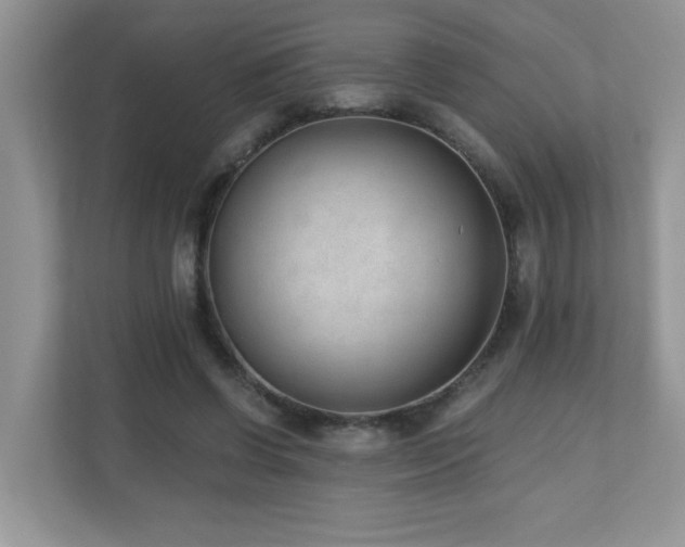 X0000110670542200906121312