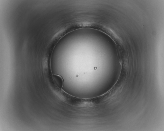 X0000110670543200906121312
