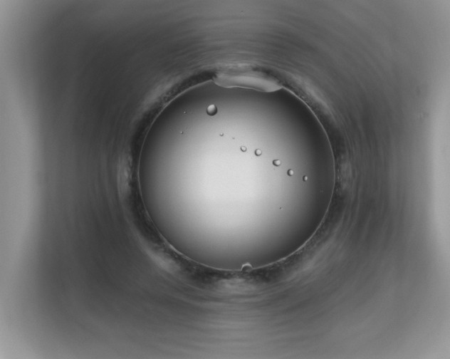 X0000110670544200906121312