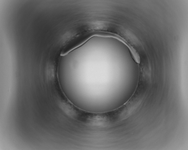 X0000110670546200906121312