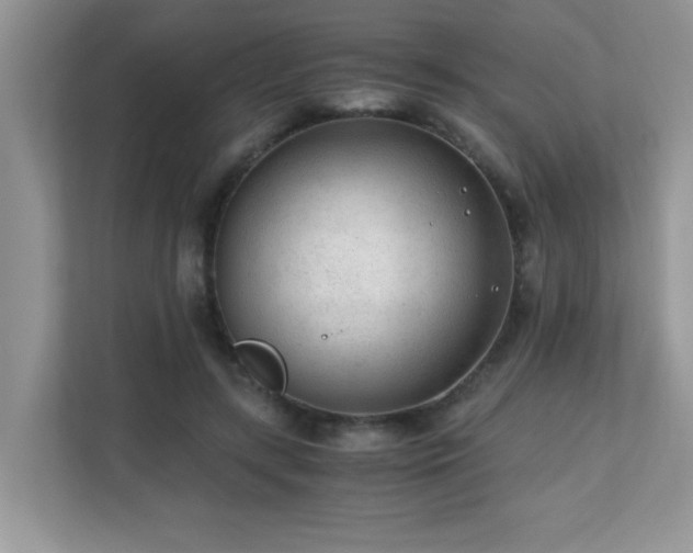 X0000110670547200906121312