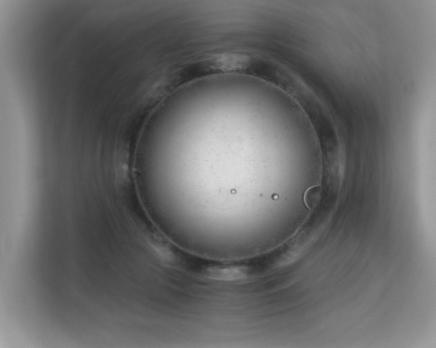 X0000110670553200906121312