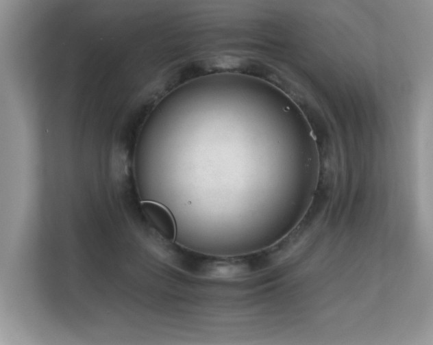 X0000110670555200906121312