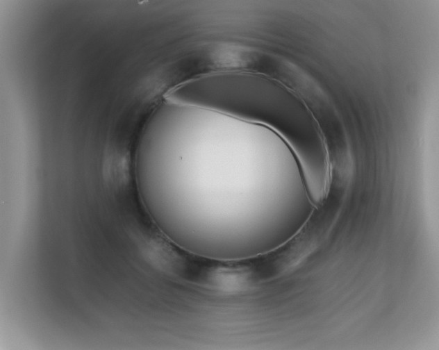 X0000110670556200906121312