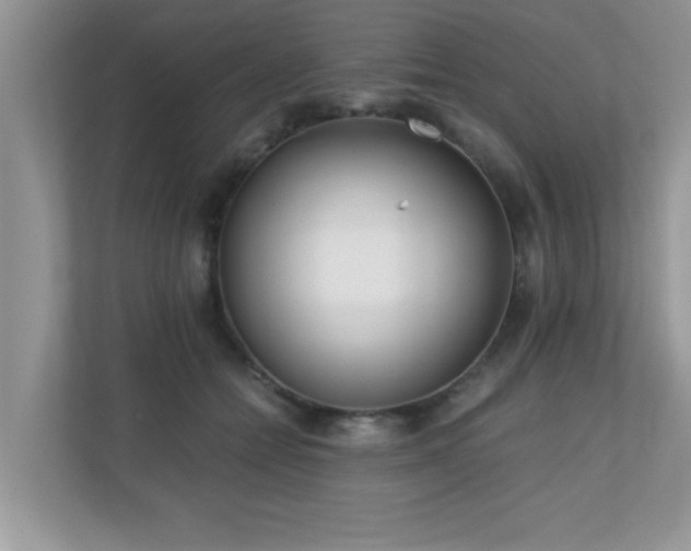 X0000110670558200906121312