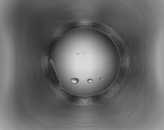 X0000110670560200906121312