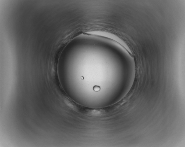 X0000110670566200906121312