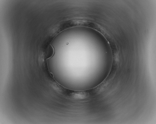 X0000110670567200906121312