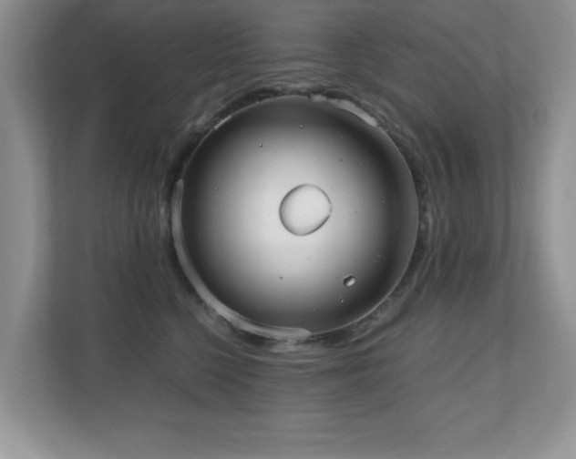 X0000110670568200906121312
