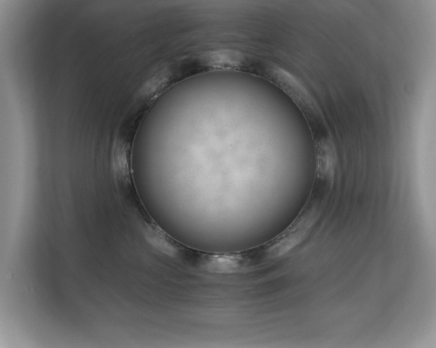 X0000110670573200906121312