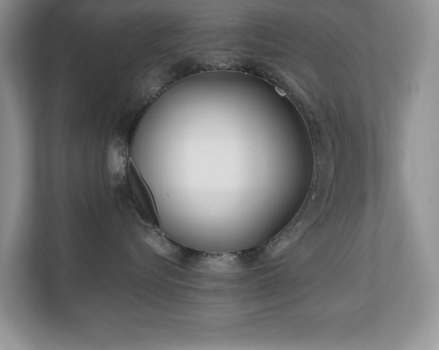 X0000110670576200906121312