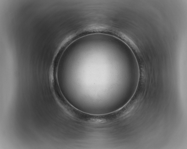 X0000110670582200906121311