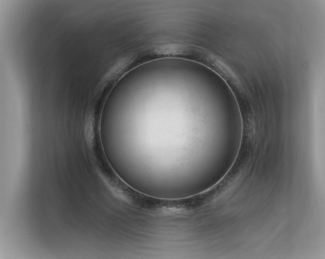X0000110670586200906121311