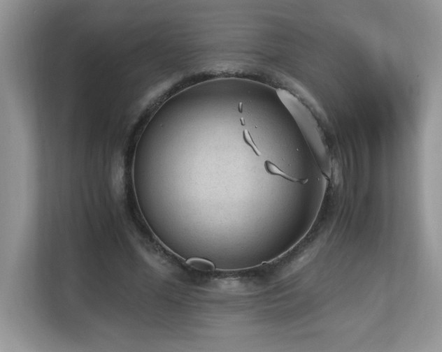 X0000110670588200906121311