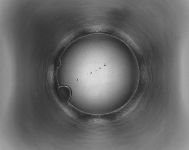 X0000110670590200906121311