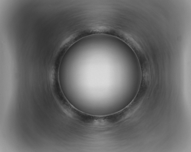 X0000110670591200906121311