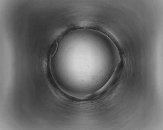 X0000110670592200906121311