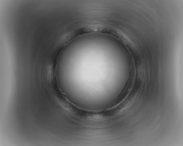 X0000110670594200906121311