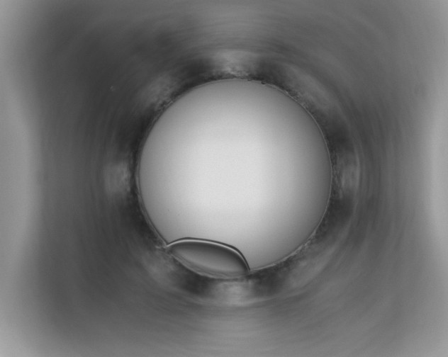 X0000110670595200906121311