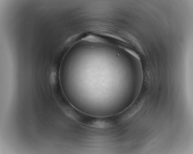 X0000110670596200906121311