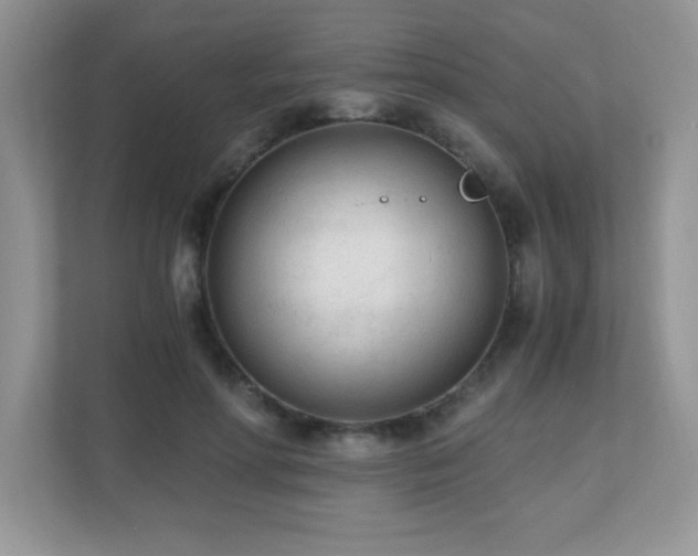 X0000110670598200906121311