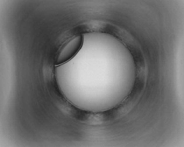 X0000110670599200906121311