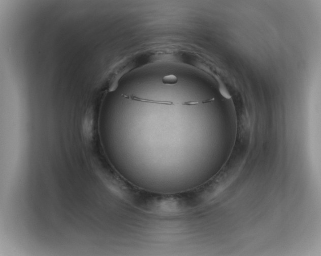 X0000110670600200906121311