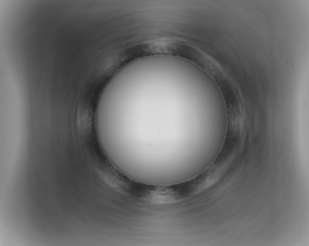 X0000110670603200906121311