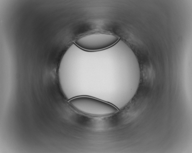 X0000110670611200906121311