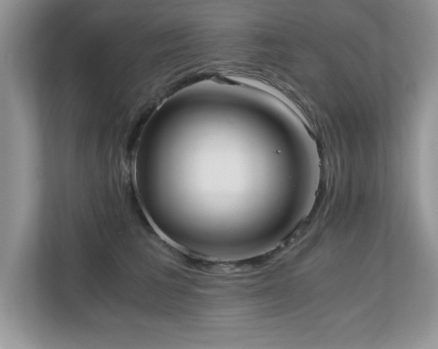 X0000110670613200906121311