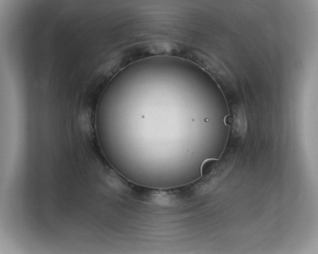 X0000110670616200906121311